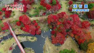 空から映像で見る『紅葉新聞』　渓石園