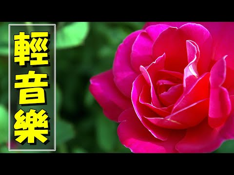 【薩克斯風 睡眠】🎷30首 薩克斯風 輕音樂 放鬆解壓 🌺 夜晚最適合聽的 轻音乐 放松🎵 累了煩了就聽聽 醉人醉心！ 無廣告音樂  Relaxing Chinese Saxaphone Music