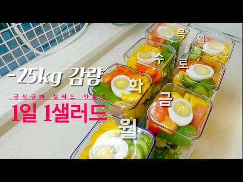 포만감👍🏻다이어트 도시락🥗 [1일1샐러드 |식비절약|덜찌언니|파는것보다맛있어요|바퀜]