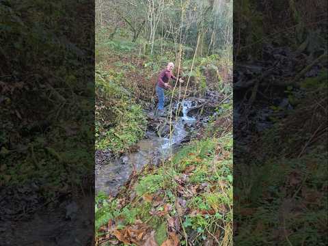 Navigating Streams #outdoors #adventure #explore #forest #streams #nativeforest #nature #mud #ideas