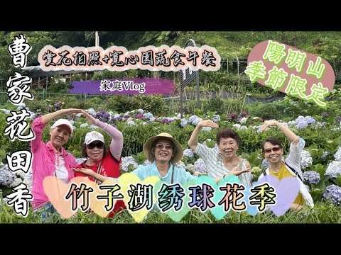 陽明山竹子湖繡球花季 曹家花田香&寬心園精緻蔬食午餐