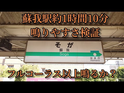 【フルコーラス以上鳴るか？】蘇我駅で約1時間10分鳴りやすさ検証してみた結果(おまけあり)　第17弾