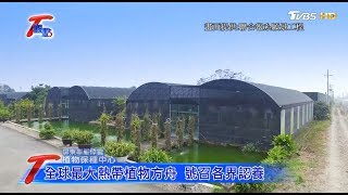 官方民間保種中心 保存世界蔬果種子 T觀點 20170730 (3/4)