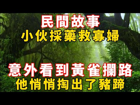 民間故事：小伙採藥救寡婦，意外看到黃雀攔路，他悄悄掏出了豬蹄