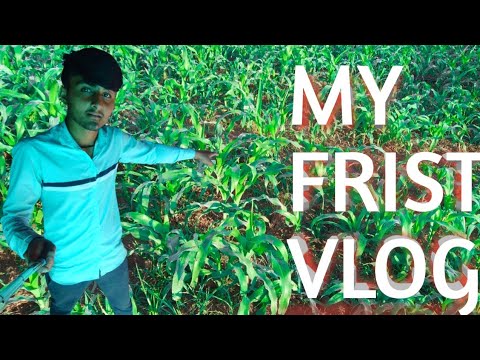 My frist vlog #myfirstvlog #myfristvlogviralkaisekare #vairalvideo #vairalvideomy