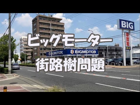 ビッグモーター街路樹問題調査した結果