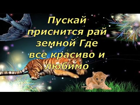 Спокойной ночи сладких снов!Пусть ночь будет сказочной!Доброй ночи!