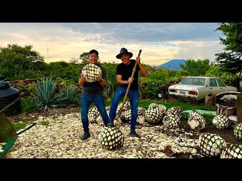 Lo que no conoces de Tequila, Jalisco