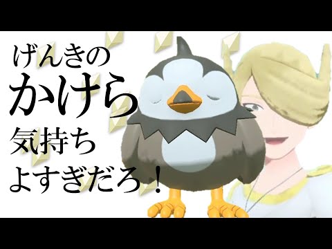 げんきのかけら999個あればムックルだけでウォロに勝てる説