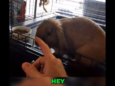 Adorable Moment Baby Girl Gets Cleaned Up and Cuddled