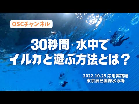 30秒間・水中でイルカと遊ぶ方法とは？ドルフィンスイム・ホエールスイムに役立つスキル練習！OSCスキンダイビング講習会・応用実践編！東京辰巳国際水泳場のダイビングプール（水深5メートル）