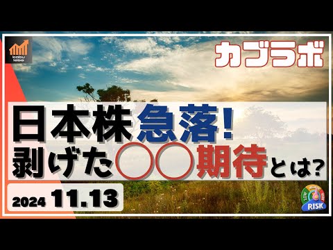 【カブラボ】11/13 日本株 急落！ 剥げた◯◯期待とは!?