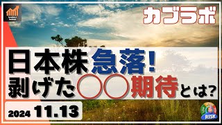 【カブラボ】11/13 日本株 急落！ 剥げた◯◯期待とは!?