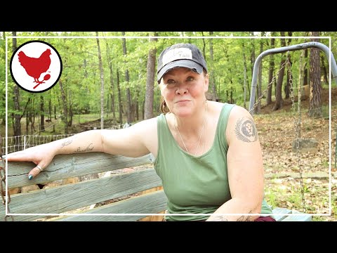 All American Canner Update | In the Garden | Moving the Chicks | Vlog