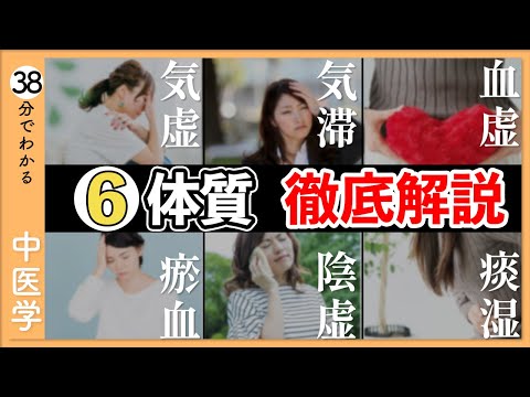 【総集編】不調を引き起こす６つの体質を徹底解説！【9割が知らない中医学】