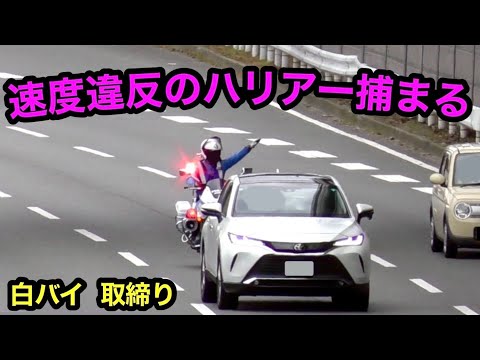 白バイが速度違反のハリアーを捕まえる瞬間‼️ アクアも捕まる‼️　[警察 取り締まり]