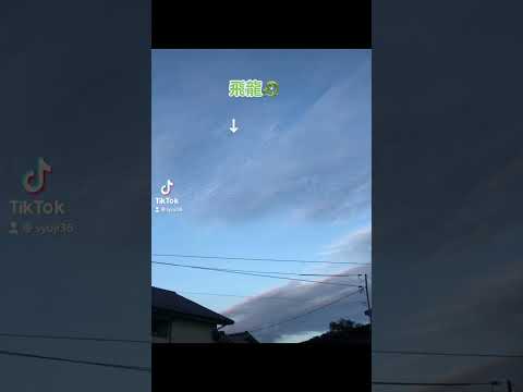 TikTok に投稿したものです。2枚目のアップ写真には龍の顔がリアルに見えます。 #short #shorts #龍神様