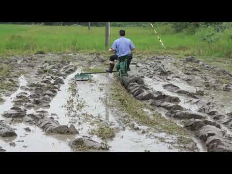 Single-wheel paddy field tillage machine working test