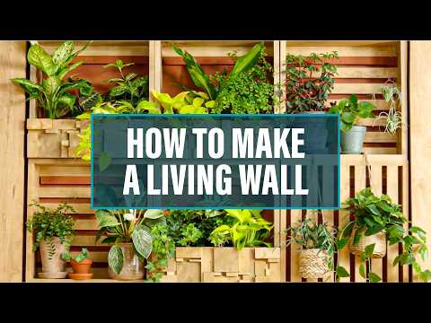 How to Make a Living Wall