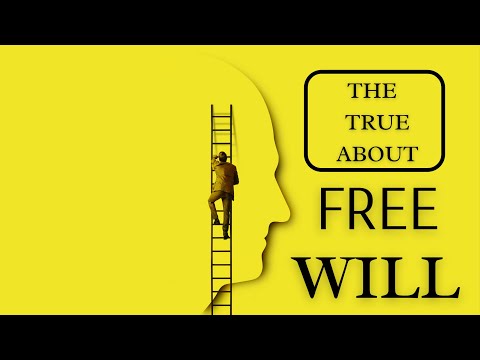 Free will in life | Is it an illusion, or are we truly in control?