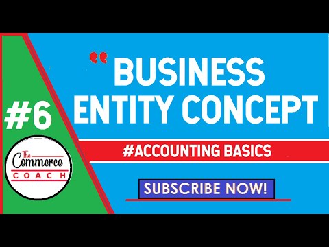 Business Entity Concept Class 11th Accounting Concepts CA CMA | Theoretical framework of Accounting