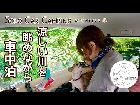 【50代女子ソロカーキャンプ】】涼しい森と川を眺めながら犬連れ車中泊｜山光荘オートキャンプ｜Solo Car camping with my dog. Vlog［25］