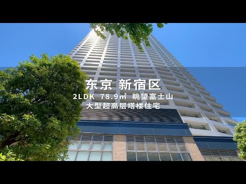 日本东京新宿眺望富士山超高层塔楼住宅