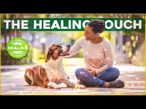 How Pet Therapy Transforms Lives: Part 2 | Healthcare Humanized™