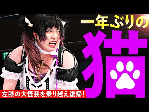 【入場ガウンがエモい...】1年ぶりの猫！大怪我を乗り越え進化した姿を見せた。ここから躍進を🔥【キーワードは“猫”】2024.10.27 猫はるな&桐生真弥&鈴芽vs愛野ユキ&らく&原宿ぽむ