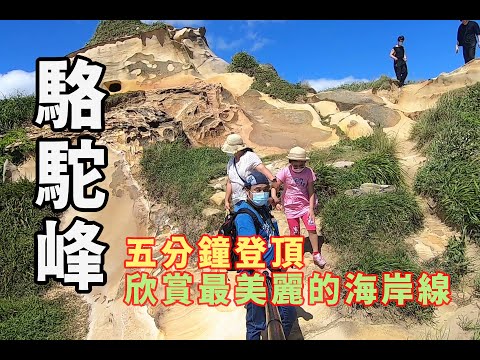 豪豪遊台灣-新北市萬里區-駱駝峰-五分鐘登頂欣賞最美麗的海岸線