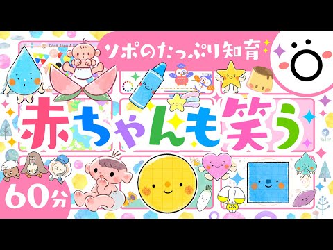 【赤ちゃんが喜ぶアニメ】赤ちゃんも笑う│ソポアートパーク公式│赤ちゃんが泣き止む 喜ぶ 笑う 楽しめる│0歳から3歳│あかちゃん動画│乳児・幼児向け知育動画│こどものうた 音楽 歌 ダンス