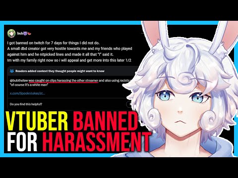 "You Only Have 18 Viewers..." | Vtuber Berates Small Streamer, Lies and Gets Called Out