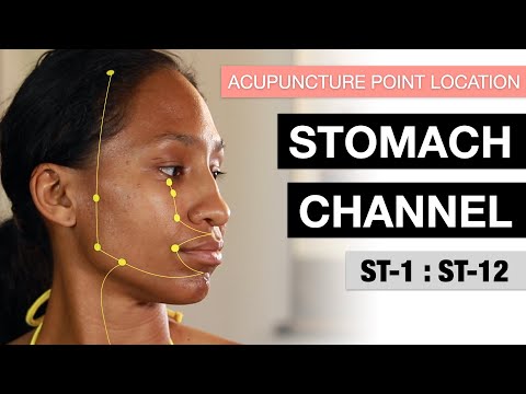 Acupuncture Point Location: The Stomach Channel 1-12 (Stomach Meridian)