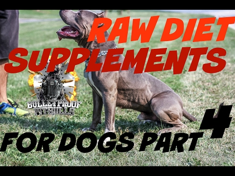 raw fed diet PART 4 SUPPLEMENTS muscles meat healthy real food bodybuilding