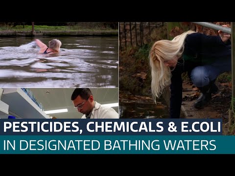 Pesticides, industrial chemicals and E.coli found in designated bathing waters, tests show| ITV News