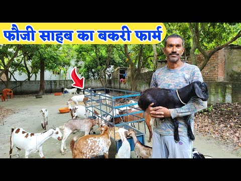 आर्मी से रिटायर होने के बाद शुरू किया बकरी पालन | Goat farming in india