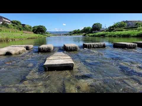 京都鴨川の流れ　何もない水の音だけで癒される