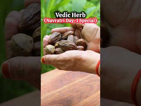 Ep-86 of Vedic Recipes (Navratri Special) Day-1 Navratri Special Ayurvedic Herb #shorts