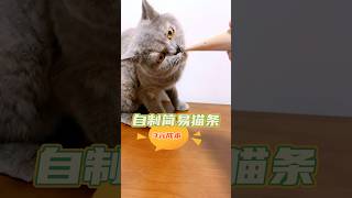 自制简易猫条，无添加，健康营养，做法超简单！