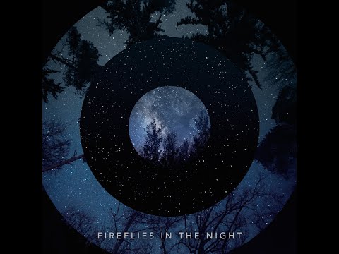 Fireflies in the Night. Out this Friday!