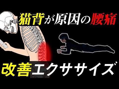 【猫背が原因の腰痛】〇〇で改善！腰痛になる原因と改善法を世界で一番わかりやすく解説