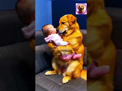 La La Lallori song #Cute Dog Videos#funny