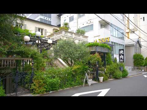 Tokyo [8K HDR] A walk starting from Omotesando Station