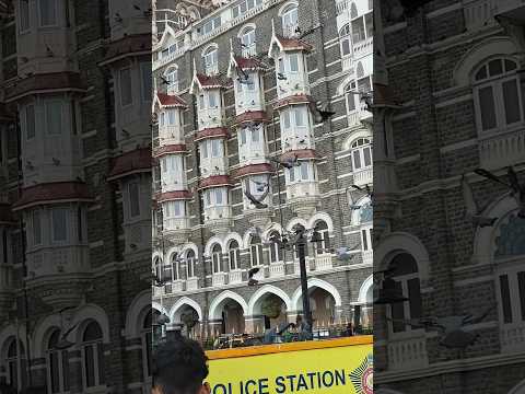 Taj Hotel Mumbai ✨