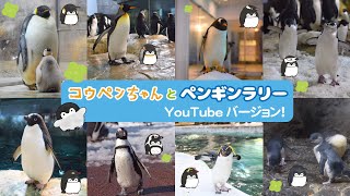 おうちでペンギン博士！　～コウペンちゃんとペンギンラリー～