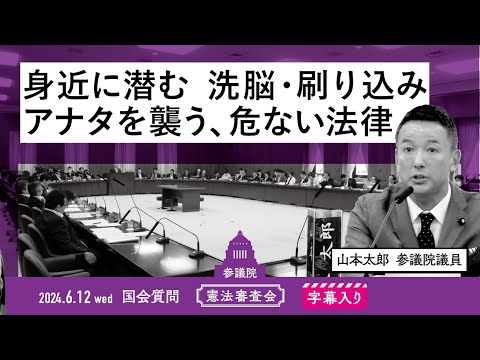 山本太郎【身近に潜む 洗脳・刷り込み。アナタを襲う、危ない法律】 2024.6.12 憲法審査会 字幕入りフル