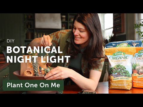 Build a BOTANICAL NIGHT LIGHT Fairy Garden — Ep. 359