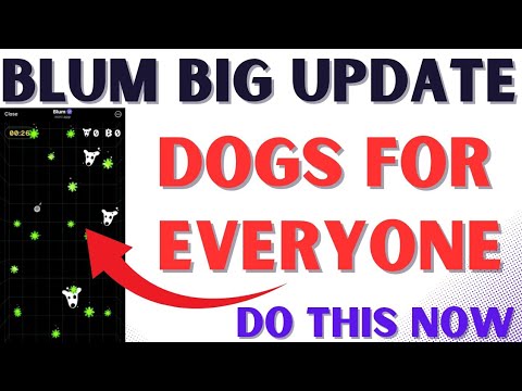 BLUM EARN DOGS #blum #dogsairdrop