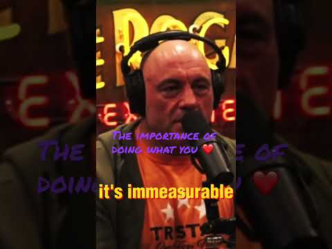 The Importance of Doing What You Love: Joe Rogan