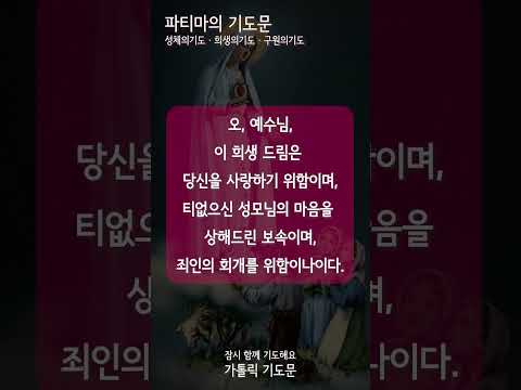 [가톨릭 기도문] 파티마의 기도문, 성체의 기도, 희생의 기도, 구원의 기도, 구원송 (#shorts , 남자성우)